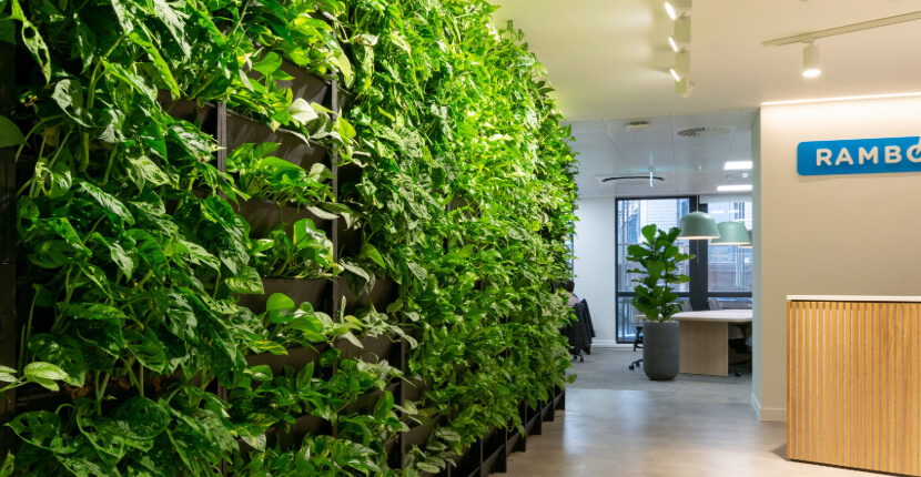 Biophilic Wall Derbyshire